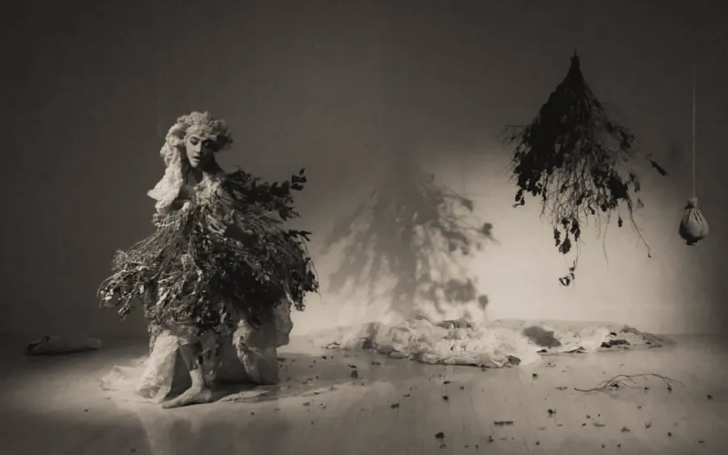 Unveiling in a Misty Landscape